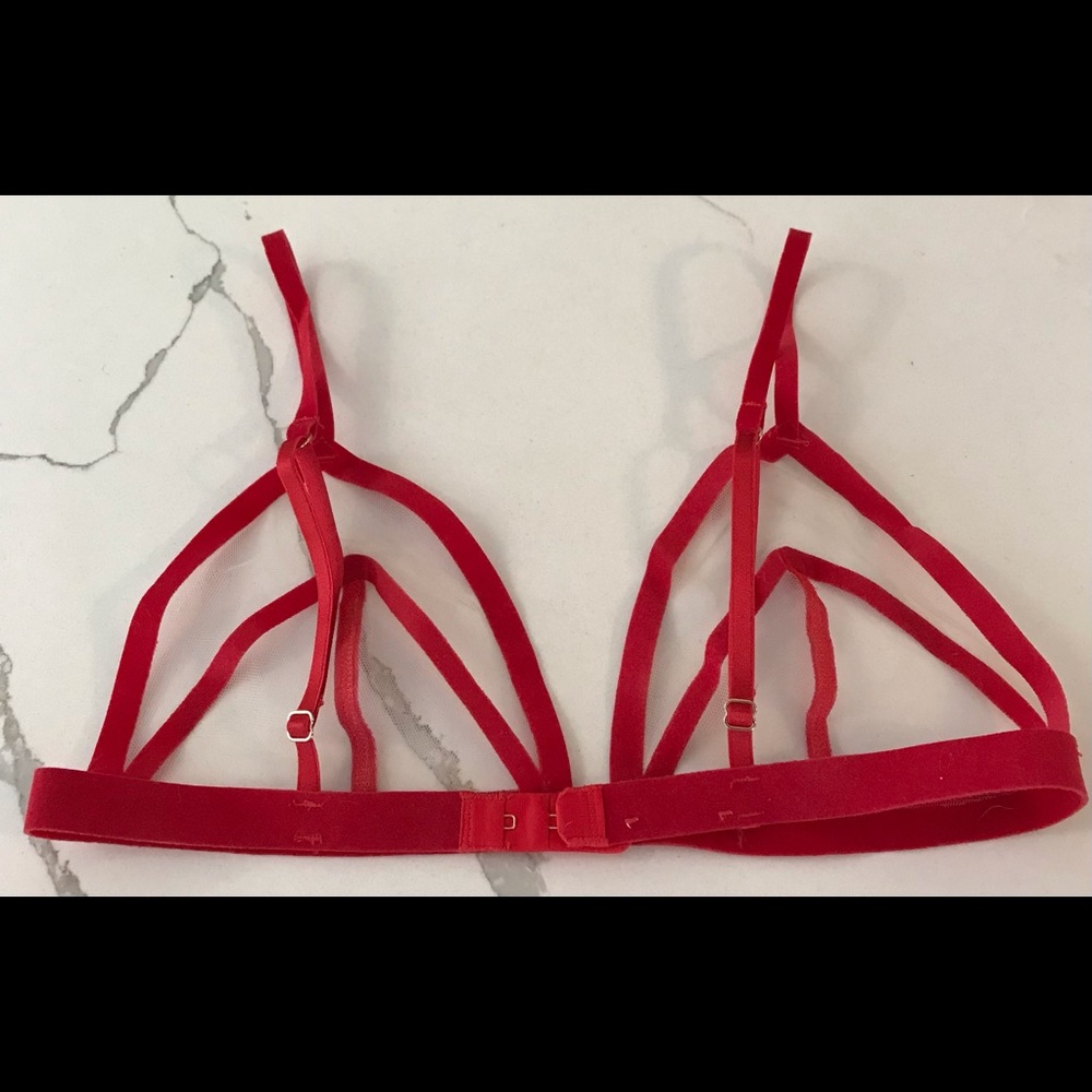 Savage x Fenty Mesh Red Velvet Bra Medium